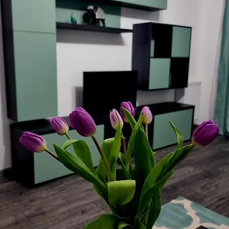 Apartment Swan *
