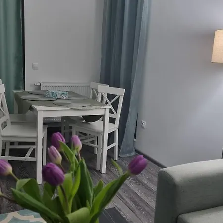 Apartment Swan Brasov