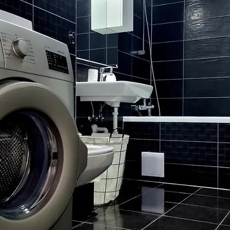 Swan Apartment Brasov