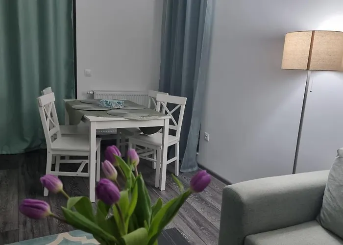 Apartment Swan Brasov