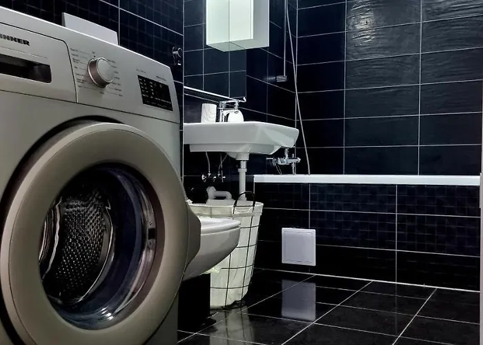 Swan Apartment Brasov